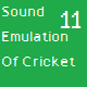 Sound Emulation Of Cricket 11