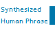 Synthesized Human Phrase