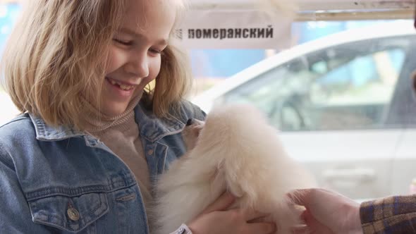 a Small and Happy Girl with a White and Fluffy Spitz Puppy