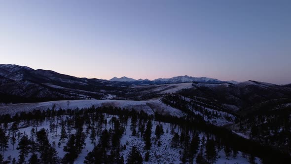 Flying over pine trees in winter towards the Rocky Mountains during blue hour, aerial