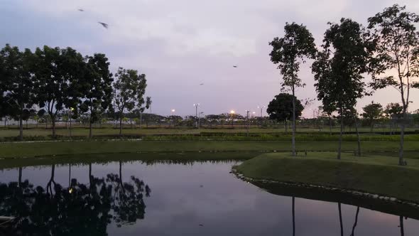 Aerial over over reflection of lake with crows bird