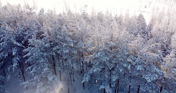 Flying Over the Ski or Hiking Tracks