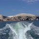Motor Boat Sailing in Ballestas Islands Area near Pisco, Peru - VideoHive Item for Sale