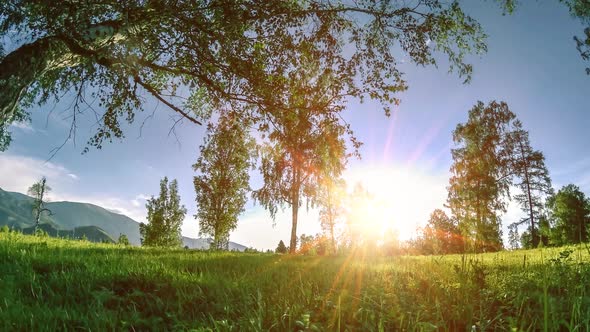 Mountain Meadow Time-lapse at the Summer or Autumn Time. Wild Nature and Rural Field. Motorised