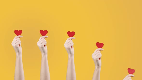 Female Blogger Hold in Hand Little Red Heart on Yellow Orange Background