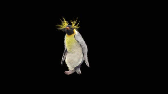 Penguin Dancing HD