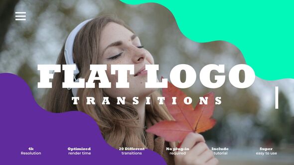 Flat Logo Transitions alt