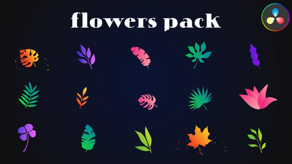 Colorful Flowers Pack for DaVinci Resolve