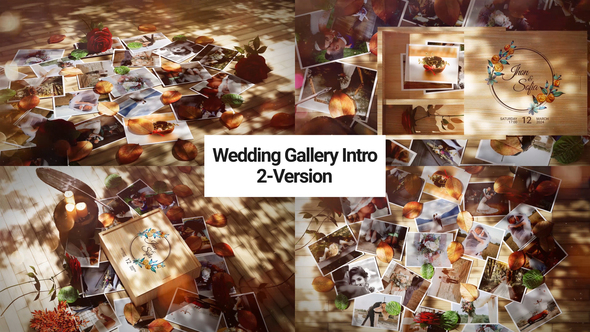 Wedding Gallery Intro