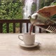 Female Hand Pouring Coffee Into Cup In Front Of Beautiful Waterfall. Bali, Indonesia.  Slow Motion - VideoHive Item for Sale