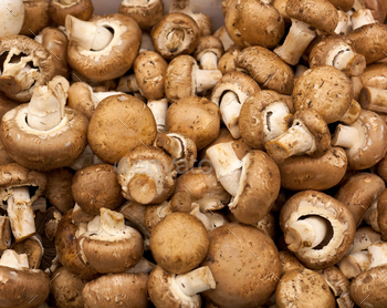 Mushrooms background at market
