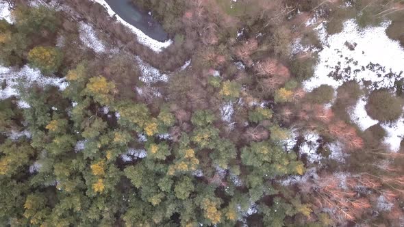 Birds Eye View Drone Shot of a Forest with Some Snow on the Ground