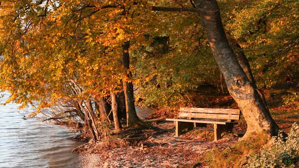 Bench and sunset at lake Starnberg in autumn in winter