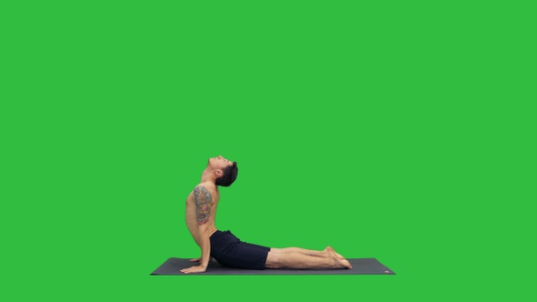 Flexible strong yoga man in Upward and Downward Facing