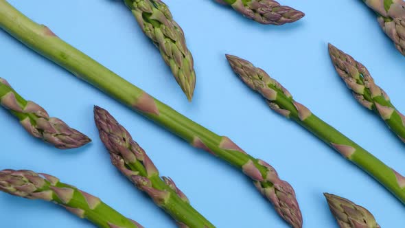 Rotating Green Fresh Asparagus on Blue Background Trendy Vegetable Background Healthy Food Concept