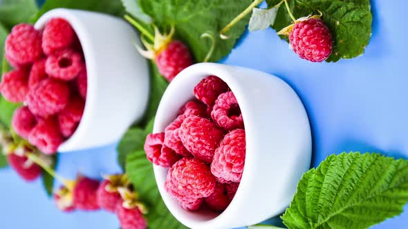Zoom in Out Vertical Ripe Red Raspberries in White Bowl with Green Leaves on Background