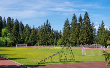 a soccer field is next to a field with pine trees