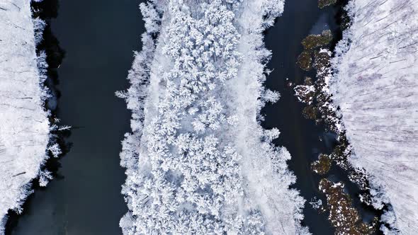 Flying above curvy river and snowy forest in winter alt