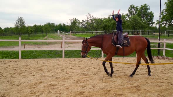 Little Girl Learns Horse Riding on the Paddock