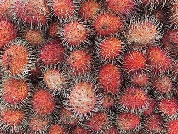 Rambutan fruit for sale at the market.