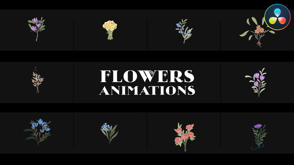 Flowers Falling Into Petals Animations for DaVinci Resolve