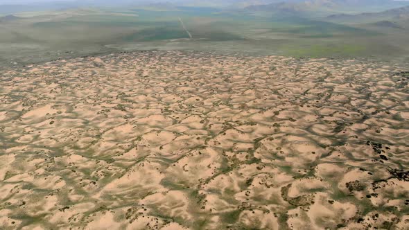 Desert Plants on Sand in Semi-Desert Dunes