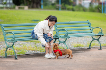 Woman feed her dachshund dog at park