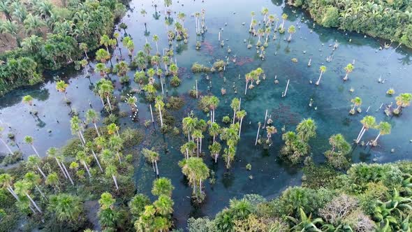 Macaws Lake tourism landmark at Nobres Mato Grosso Brazil. Touristic point.