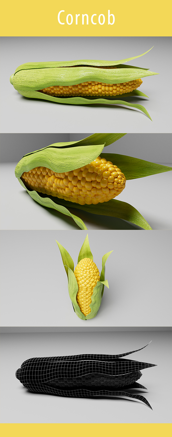 Corncob 3d Model