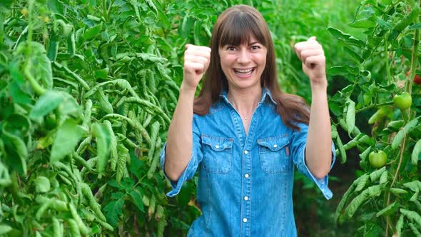 Beautiful Farmer Female Women in Green House of Tomato Showing Thumb Up