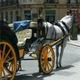 Horse Wagon - AudioJungle Item for Sale