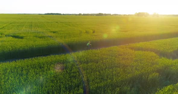 Aerial View on Young Boy, That Rides a Bicycle Thru a Wheat Grass Field on the Old Rural Road