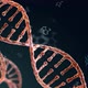 Spiral Strands of DNA on the Dark Background - VideoHive Item for Sale