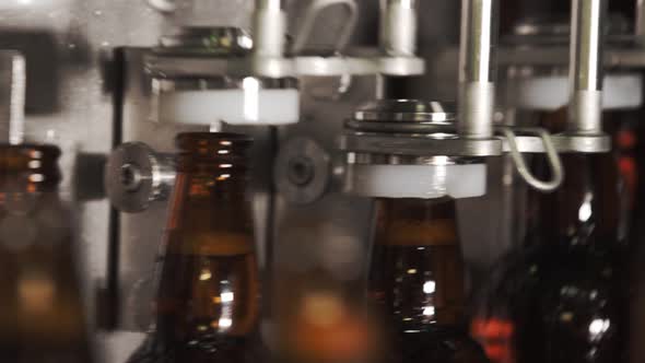 Beer bottles on a conveyor belt. installation of a bottle cap. close-up. brewery.