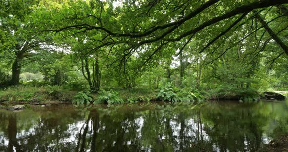 Roches du Diable, Querrien, Finistere department, Brittany, France