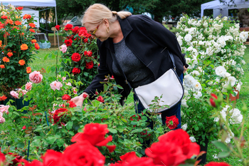 Woman admiring roses in flower market