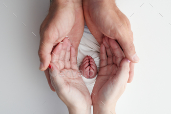 The palms of the father, the mother are holding the foot of the newborn baby in a white blanket.