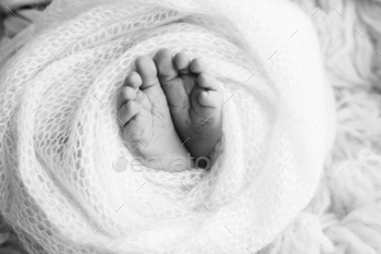 The tiny foot of a newborn baby. Soft feet of a new born in a wool blanket.