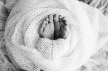 The tiny foot of a newborn baby. Soft feet of a new born in a wool blanket.