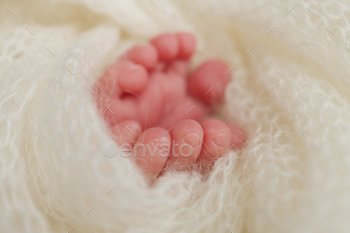 The tiny foot of a newborn baby. Soft feet of a new born in a wool white blanket
