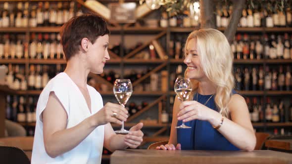 Happy Women Drinking Wine at Bar or Restaurant