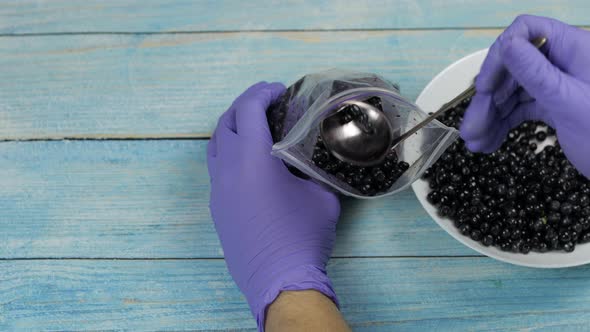 Packing Blueberries in Zipper Plastic Bags for Freezing. Frozen, Preservation Fruits, Berries Food