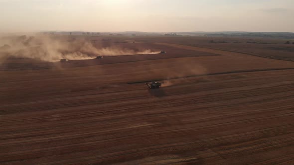 Aerial shot: few combines harvest wheat at sunset.