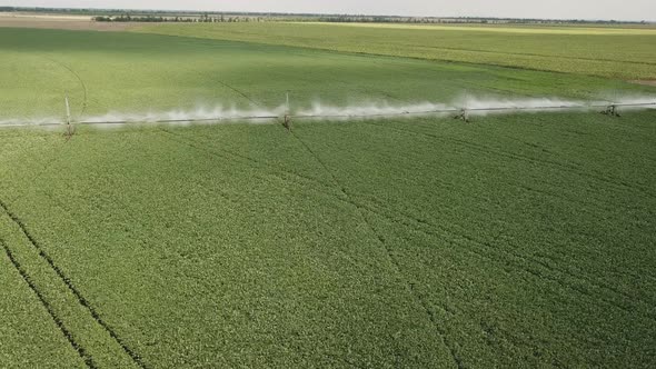 Spraying the Field with Water
