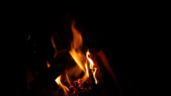 Burning Bonfire on a Black Background with Bright Erupting Sparks