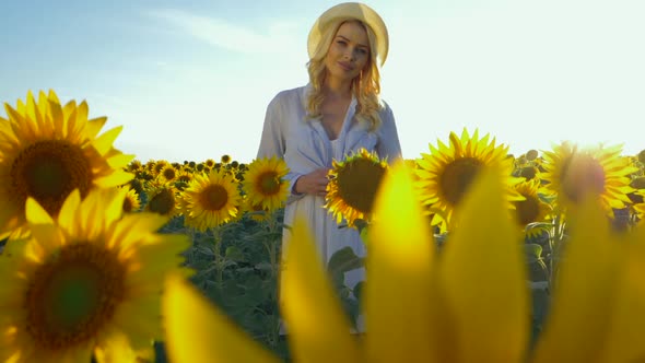 Young Beautiful Blonde Woman Standing Sunflower Field