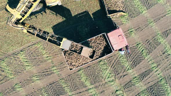 Top View of Harvested Crops Getting Relocated Between Vehicles