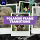 Polaroid Frame Transitions MOGRT - VideoHive Item for Sale