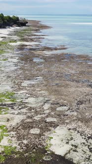 Tanzania  Vertical Video of Low Tide in the Ocean Near the Coast of Zanzibar Slow Motion