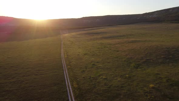 Aerial View on Green Wheat Field in Countryside